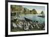 Santa Catalina Island, California - View of Sea Gulls at Avalon-Lantern Press-Framed Premium Giclee Print