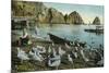 Santa Catalina Island, California - View of Sea Gulls at Avalon-Lantern Press-Mounted Premium Giclee Print