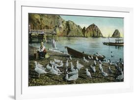 Santa Catalina Island, California - View of Sea Gulls at Avalon-Lantern Press-Framed Art Print