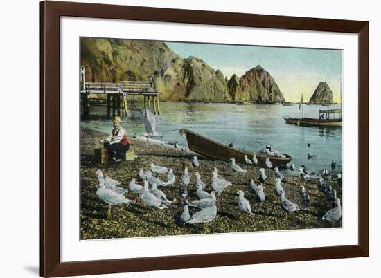 Santa Catalina Island, California - View of Sea Gulls at Avalon-Lantern Press-Framed Art Print