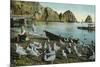 Santa Catalina Island, California - View of Sea Gulls at Avalon-Lantern Press-Mounted Art Print