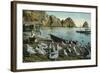 Santa Catalina Island, California - View of Sea Gulls at Avalon-Lantern Press-Framed Art Print