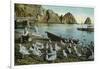 Santa Catalina Island, California - View of Sea Gulls at Avalon-Lantern Press-Framed Art Print