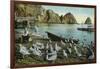 Santa Catalina Island, California - View of Sea Gulls at Avalon-Lantern Press-Framed Art Print