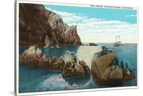 Santa Catalina Island, California - View of the Seal Rocks-Lantern Press-Stretched Canvas