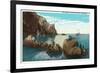 Santa Catalina Island, California - View of the Seal Rocks-Lantern Press-Framed Art Print