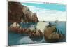 Santa Catalina Island, California - View of the Seal Rocks-Lantern Press-Mounted Art Print