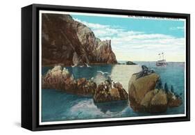 Santa Catalina Island, California - View of the Seal Rocks-Lantern Press-Framed Stretched Canvas