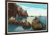 Santa Catalina Island, California - View of the Seal Rocks-Lantern Press-Framed Art Print