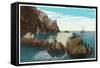 Santa Catalina Island, California - View of the Seal Rocks-Lantern Press-Framed Stretched Canvas