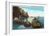 Santa Catalina Island, California - View of the Seal Rocks-Lantern Press-Framed Art Print