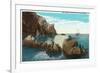 Santa Catalina Island, California - View of the Seal Rocks-Lantern Press-Framed Premium Giclee Print