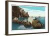 Santa Catalina Island, California - View of the Seal Rocks-Lantern Press-Framed Art Print