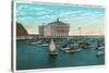 Santa Catalina Island, California - Yachts at Anchor in Avalon Bay-Lantern Press-Stretched Canvas