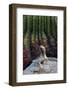 Santa Catalina Island desert iguana in front of barrel cactus-Claudio Contreras-Framed Photographic Print