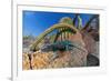 Santa Catalina Island side-blotched lizard in front of cactus-Claudio Contreras-Framed Photographic Print