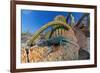 Santa Catalina Island side-blotched lizard in front of cactus-Claudio Contreras-Framed Photographic Print