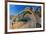 Santa Catalina Island side-blotched lizard in front of cactus-Claudio Contreras-Framed Photographic Print