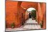 Santa Catalina Monastery (Convento De Santa Catalina) (St. Catherine), a Convent in Arequipa, Peru-Matthew Williams-Ellis-Mounted Photographic Print