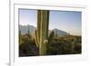 Santa Catalina Mountains in Arizona-Zandria Muench Beraldo-Framed Premium Photographic Print