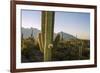 Santa Catalina Mountains in Arizona-Zandria Muench Beraldo-Framed Premium Photographic Print