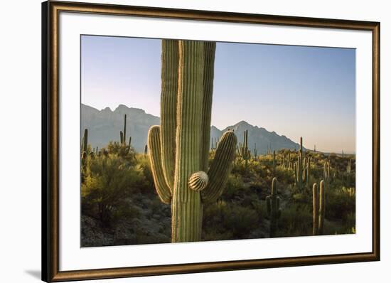 Santa Catalina Mountains in Arizona-Zandria Muench Beraldo-Framed Premium Photographic Print