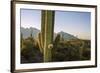 Santa Catalina Mountains in Arizona-Zandria Muench Beraldo-Framed Premium Photographic Print