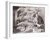 Santa Claus Discovers Little Girl and Her Dog under Christmas Tree-null-Framed Photo