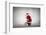 Santa Claus Rides a Bicycle-olly2-Framed Photographic Print