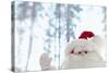 Santa Claus Toy Waving-Monalyn Gracia-Stretched Canvas