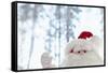 Santa Claus Toy Waving-Monalyn Gracia-Framed Stretched Canvas