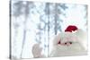 Santa Claus Toy Waving-Monalyn Gracia-Stretched Canvas