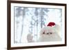 Santa Claus Toy Waving-Monalyn Gracia-Framed Photographic Print