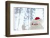 Santa Claus Toy Waving-Monalyn Gracia-Framed Photographic Print