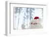 Santa Claus Toy Waving-Monalyn Gracia-Framed Photographic Print