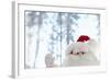 Santa Claus Toy Waving-Monalyn Gracia-Framed Photographic Print
