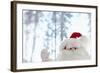 Santa Claus Toy Waving-Monalyn Gracia-Framed Photographic Print