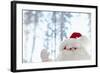 Santa Claus Toy Waving-Monalyn Gracia-Framed Photographic Print