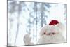 Santa Claus Toy Waving-Monalyn Gracia-Mounted Photographic Print