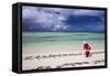 Santa Clause Patrols the Beaches of Alphonse Island for Feeding Fish-Matt Jones-Framed Stretched Canvas