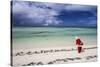 Santa Clause Patrols the Beaches of Alphonse Island for Feeding Fish-Matt Jones-Stretched Canvas