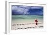 Santa Clause Patrols the Beaches of Alphonse Island for Feeding Fish-Matt Jones-Framed Photographic Print