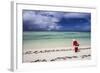 Santa Clause Patrols the Beaches of Alphonse Island for Feeding Fish-Matt Jones-Framed Photographic Print