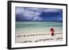 Santa Clause Patrols the Beaches of Alphonse Island for Feeding Fish-Matt Jones-Framed Photographic Print