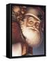 Santa Close-Up with a Sack of Toys on His Back-Dan Craig-Framed Stretched Canvas