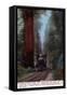 Santa Cruz, California - Big Tree Railroad Station-Lantern Press-Framed Stretched Canvas