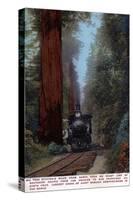 Santa Cruz, California - Big Tree Railroad Station-Lantern Press-Stretched Canvas