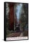 Santa Cruz, California - Big Tree Railroad Station-Lantern Press-Framed Stretched Canvas