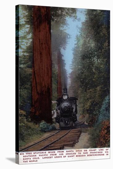 Santa Cruz, California - Big Tree Railroad Station-Lantern Press-Stretched Canvas