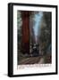 Santa Cruz, California - Big Tree Railroad Station-Lantern Press-Framed Art Print